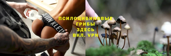 твердый Алексин